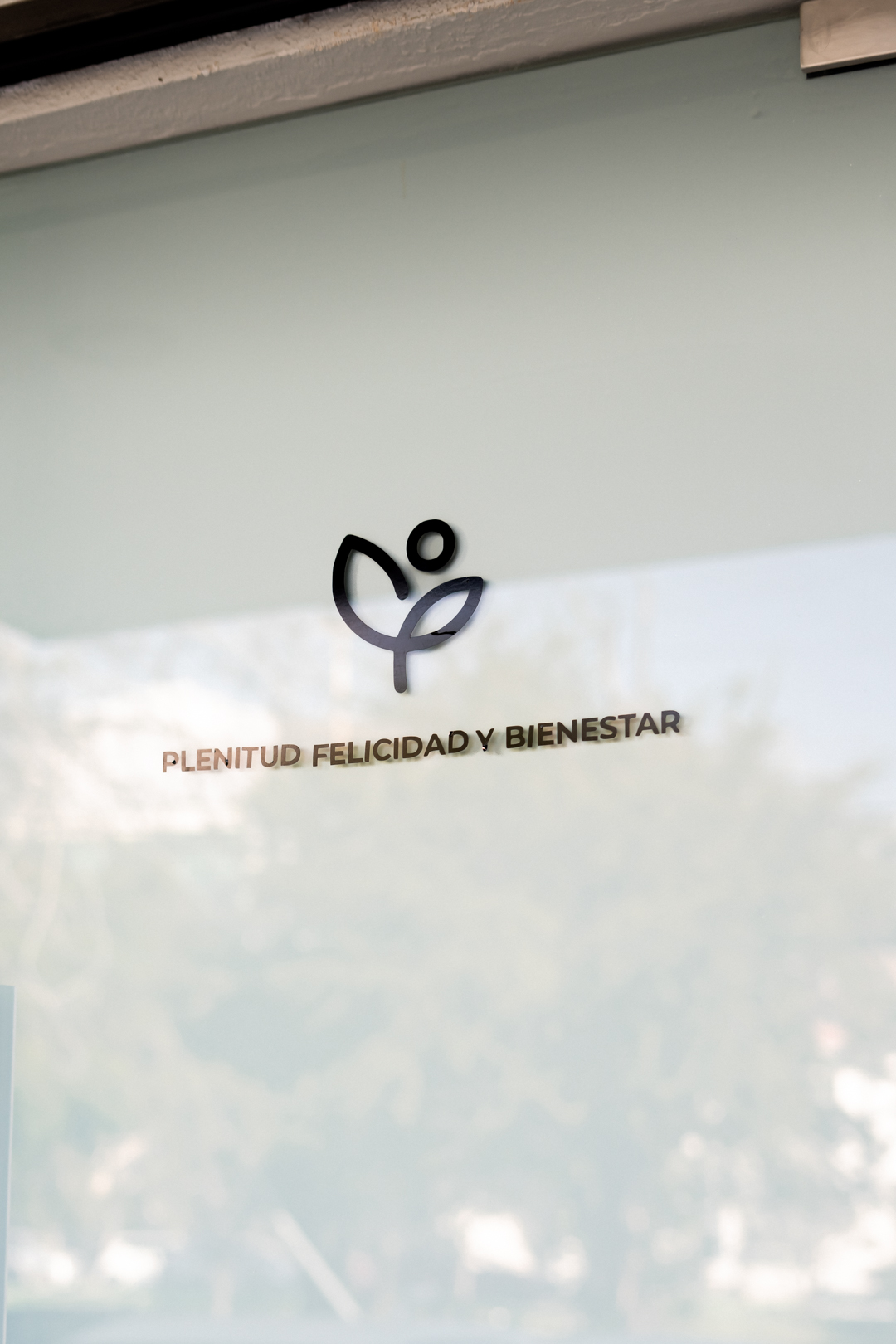 Servicios Fundación